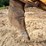 1992-caterpillar-d8n-image-125