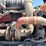 2010-kenworth-t800-image-39