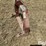 international-3-image-9