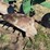 john-deere-three-point-three-bottom-plow-image-10