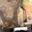 1992-caterpillar-d8n-image-95