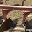 international-412-image-19