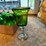 (8)-green-stemware-glasses-image-2