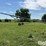 peck-802-image-4