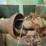 artsway-420-image-21