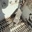 2009-international-workstar-7400-image-8
