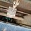 1995-freightliner-fld120-image-78