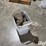 bucket-of-bolts,-nuts,-washers-image-7