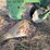 john-deere-pull-type-three-bottom-plow-image-15