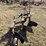 john-deere-three-point-three-bottom-plow-image-4