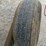 bestway-500-image-35