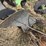 john-deere-pull-type-three-bottom-plow-image-13