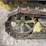 caterpillar-fifteen-image-51