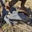 john-deere-three-point-two-bottom-plow-image-8