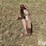 international-3-image-8