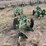 john-deere-pull-type-two-bottom-plow-image-4
