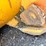 1994-caterpillar-953b-image-113