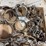 clasps-image-11