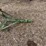 john-deere-one-bottom-plow-image-8