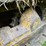 komatsu-d65e-6-image-16