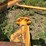 proctor-18x52-image-8