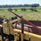brandt-hr40f-image-13
