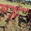 case-ih-183-image-21