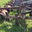#52693-•-sprayrite-10-row-30"-cultivator-inv#52693-image-40