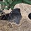 john-deere-pull-type-four-bottom-plow-image-17