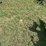 great-plains-ls10-image-30