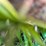 woods-bb72x-image-20