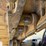 2015-caterpillar-d6t-lgp-image-38