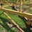 ward-18x70-image-99