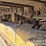 2020-caterpillar-d6k2-lgp-image-17