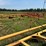 #52660-•-brandt-18'x47'-land-plane-inv#52660-image-48