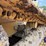 2015-caterpillar-d6t-lgp-image-57