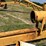 #52672-•-10"x30'-pull-type-relift-inv#52672-image-24
