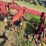 case-ih-183-image-19