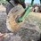 john-deere-pull-type-three-bottom-plow-image-24