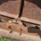 #52670-•-20'-stubble-roller-inv#52670-image-24
