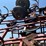 #52663-•-case-200-34'-field-cultivator-jfh0044993-inv#52663-image-36
