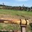 #52687-•-allen-mfg-water-furrow-plow-am326113-inv#52687-image-20