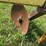 #52687-•-allen-mfg-water-furrow-plow-am326113-inv#52687-image-9