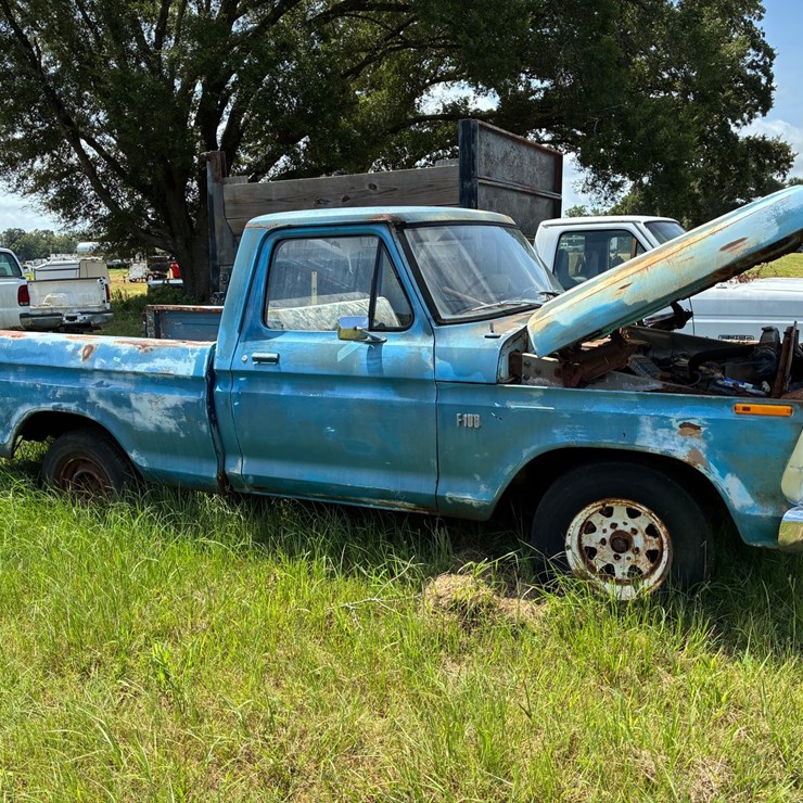 1973 FORD F100