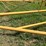 proctor-18x52-image-55