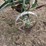 john-deere-one-bottom-plow-image-10