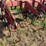 case-ih-183-image-22