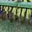 john-deere-515-image-19