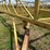 #52657-•-ward-pothole-eliminator-18'x70'-land-plane-271wr13-inv#52657-image-78