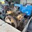 miller-bobcat-250nt-image-25